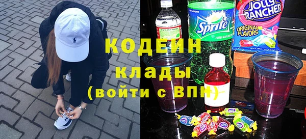 индика Баксан