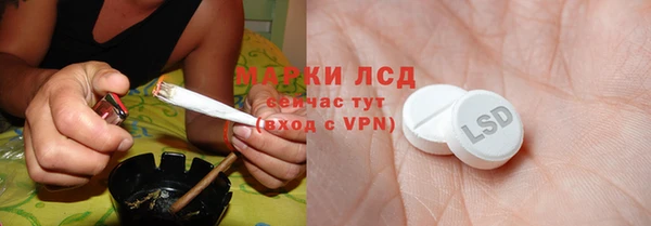 индика Баксан