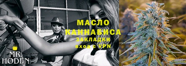индика Баксан