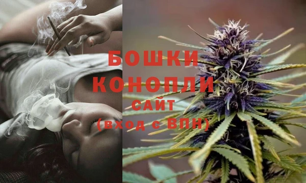 индика Баксан