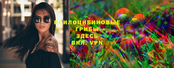 индика Баксан