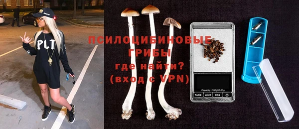 индика Баксан