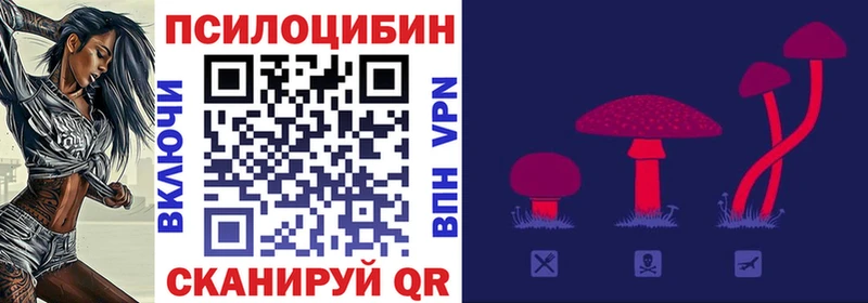 Псилоцибиновые грибы Psilocybine cubensis  Белорецк 
